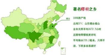 最新国产区,探索国产电影的新时代篇章  第1张
