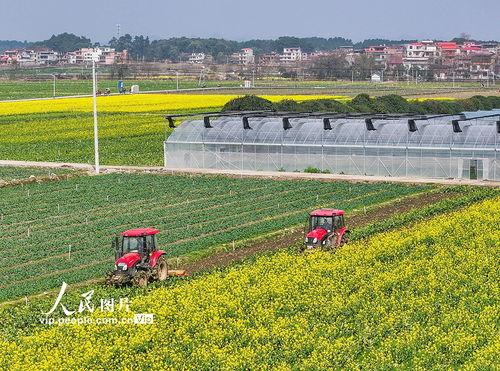 1024国产基地在线,探索中国科技产业的创新与发展 第2张 1024国产基地在线,探索中国科技产业的创新与发展 第2张