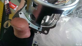 国产精口,匠心独运,品质卓越的国产之光 第3张 国产精口,匠心独运,品质卓越的国产之光 第3张