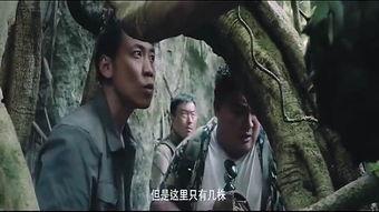 国产免费的野战视频,揭秘真实战场上的英勇瞬间 第3张 国产免费的野战视频,揭秘真实战场上的英勇瞬间 第3张