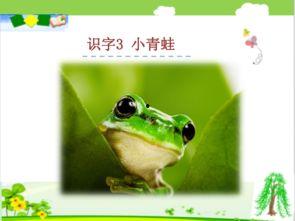 国产91小青蛙,探寻童年记忆中的欢乐精灵 第3张 国产91小青蛙,探寻童年记忆中的欢乐精灵 第3张